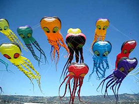 photo of a variety of kite styles at a kite festival in Fort Bragg CA