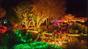 photo of the Festival of Lights at the Mendocino Coast Botanical Garden. Magical Wonderland.