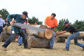 photo showing men cutting logs with a large old fashion saw at the Paul Bunyan Days.